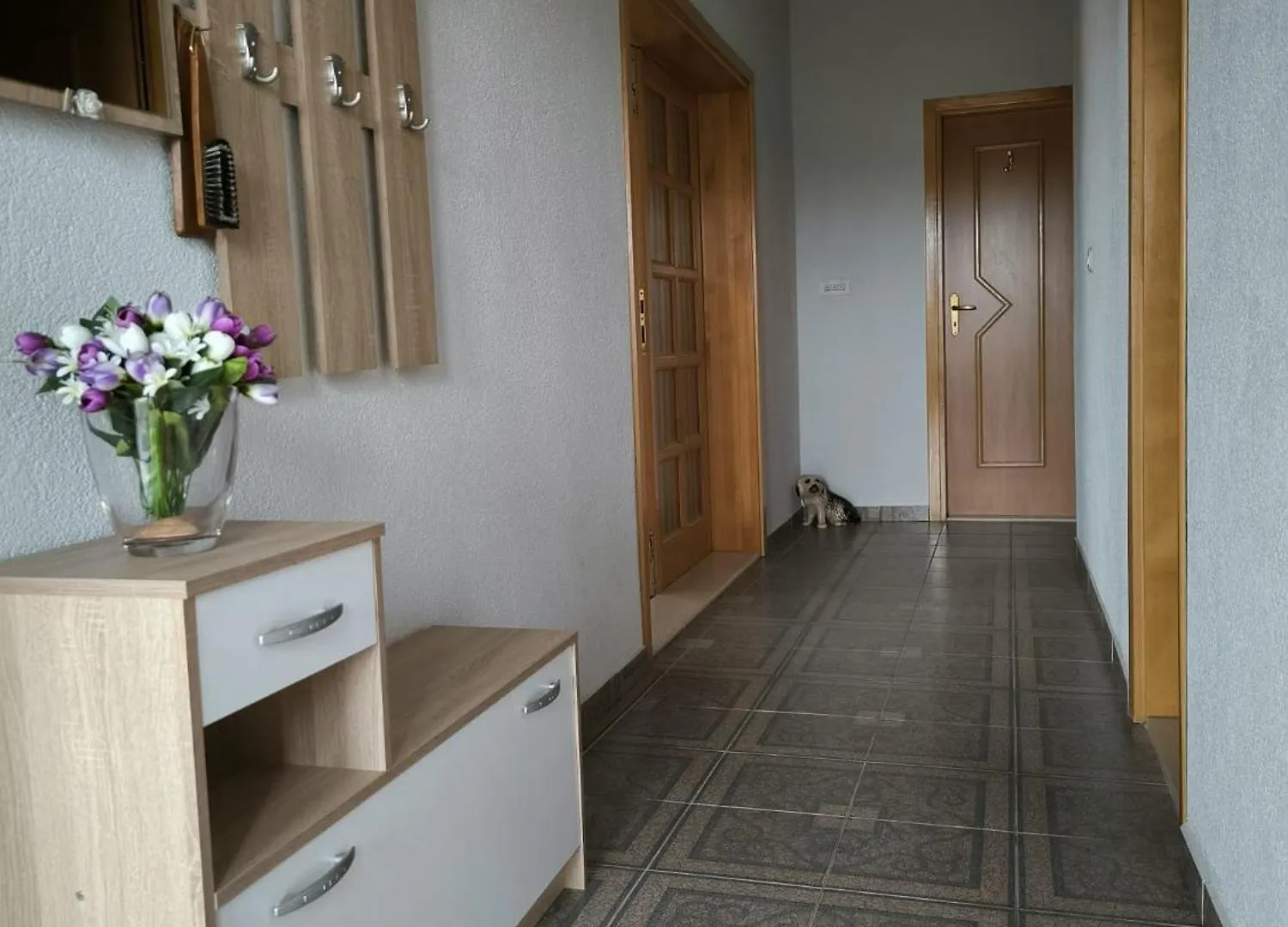 Apartman Mihaela Gornji Karin
